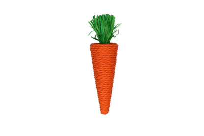 Pawise Play & Chew Carrot