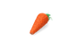 Pawise Play & Chew Carrot