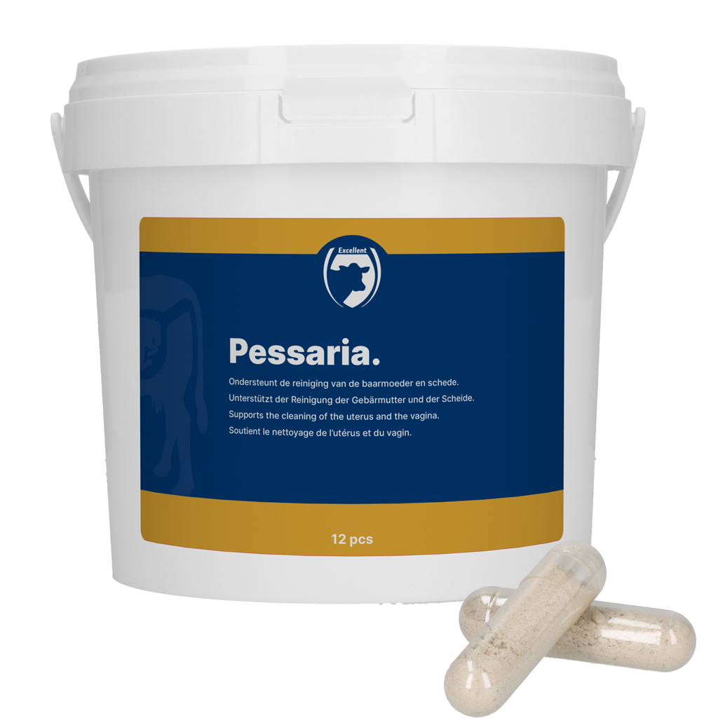Excellent Pessaria Capsule 12 pcs
