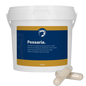 Excellent Pessaria Capsule 12 pcs