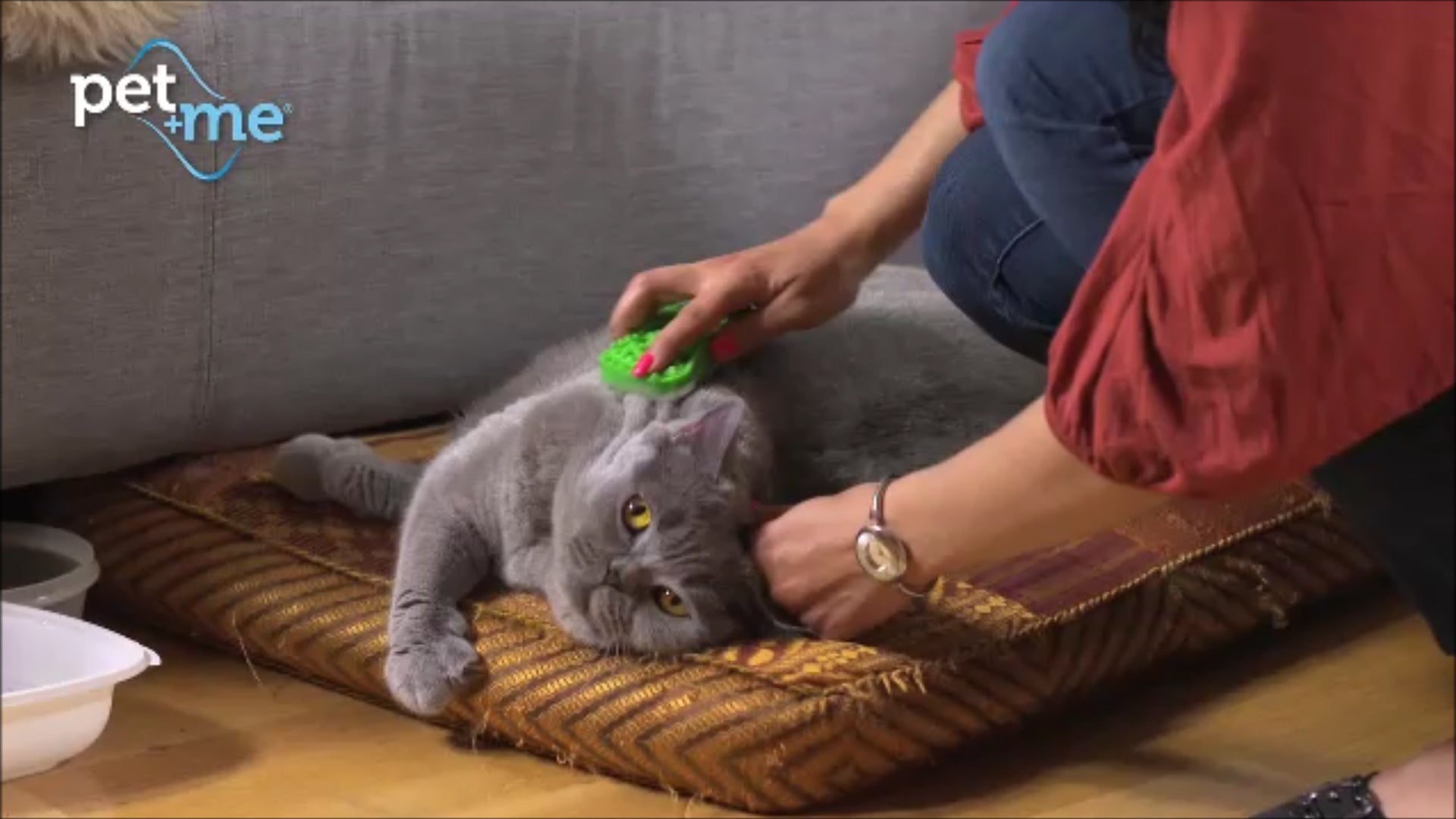 Pet+Me Cat Hair Brush Long hair Green