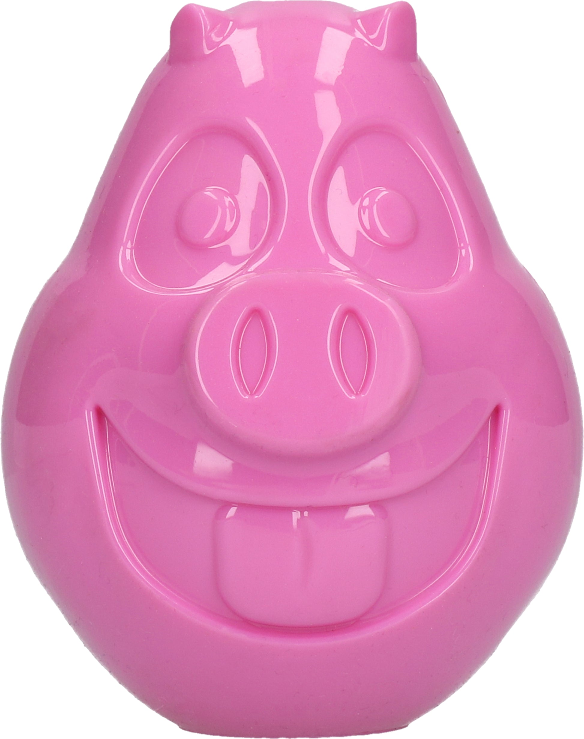 Petsport Mojo Friends Pig L