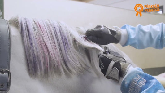 Paardenpraat Szivárvány Színes Kréta