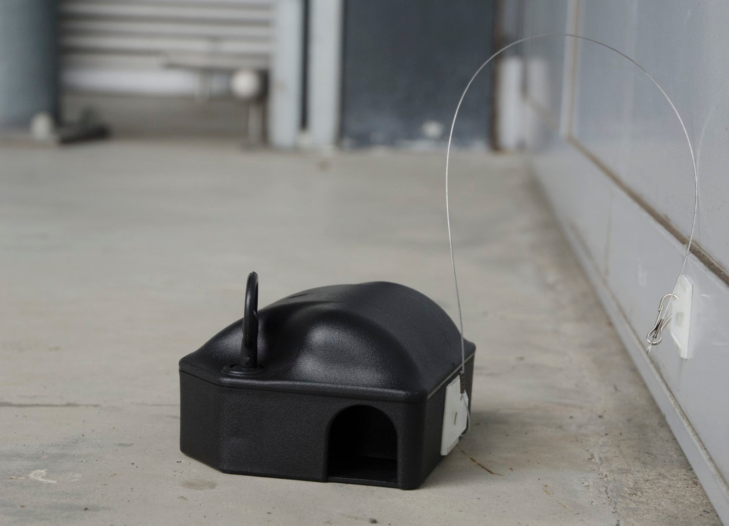 Bait Box Paste Anchor 25 cm