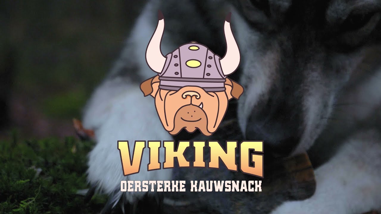 Viking Horn Twist M