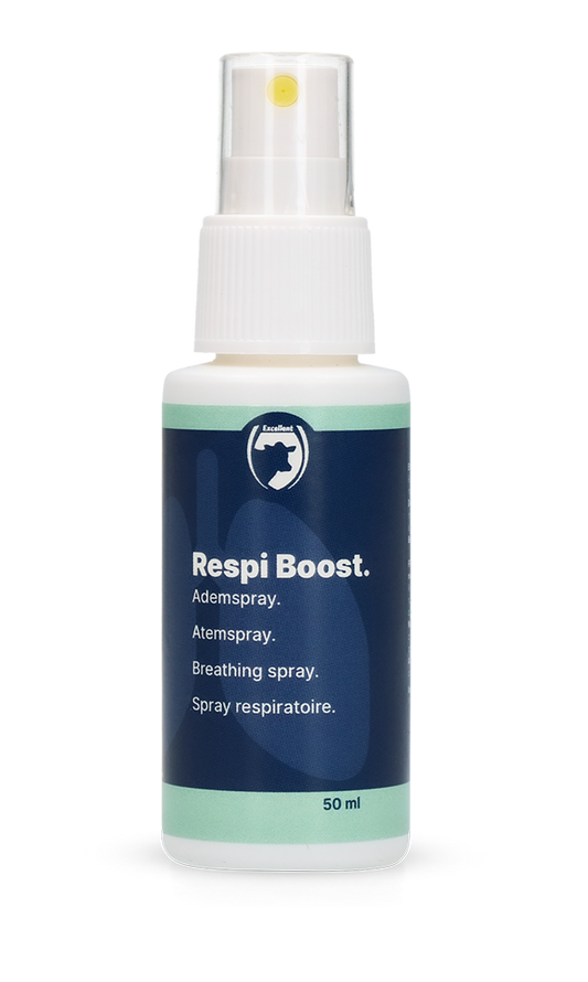 Kiváló Légzéserősítő (Légzőszervi Spray) 50 ml