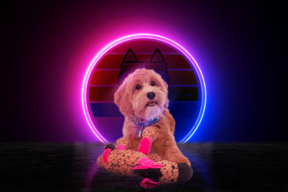 Retrodog Donkey Pink S