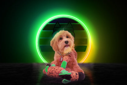 Retrodog Donkey Green S