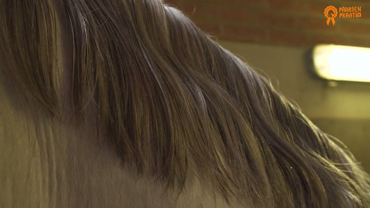 Paardenpraat TV Csillám Glamour Spray Ezüst