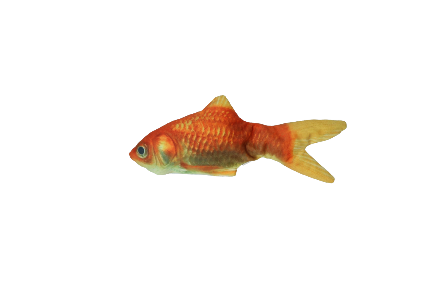 Robocat Fish Goldfish