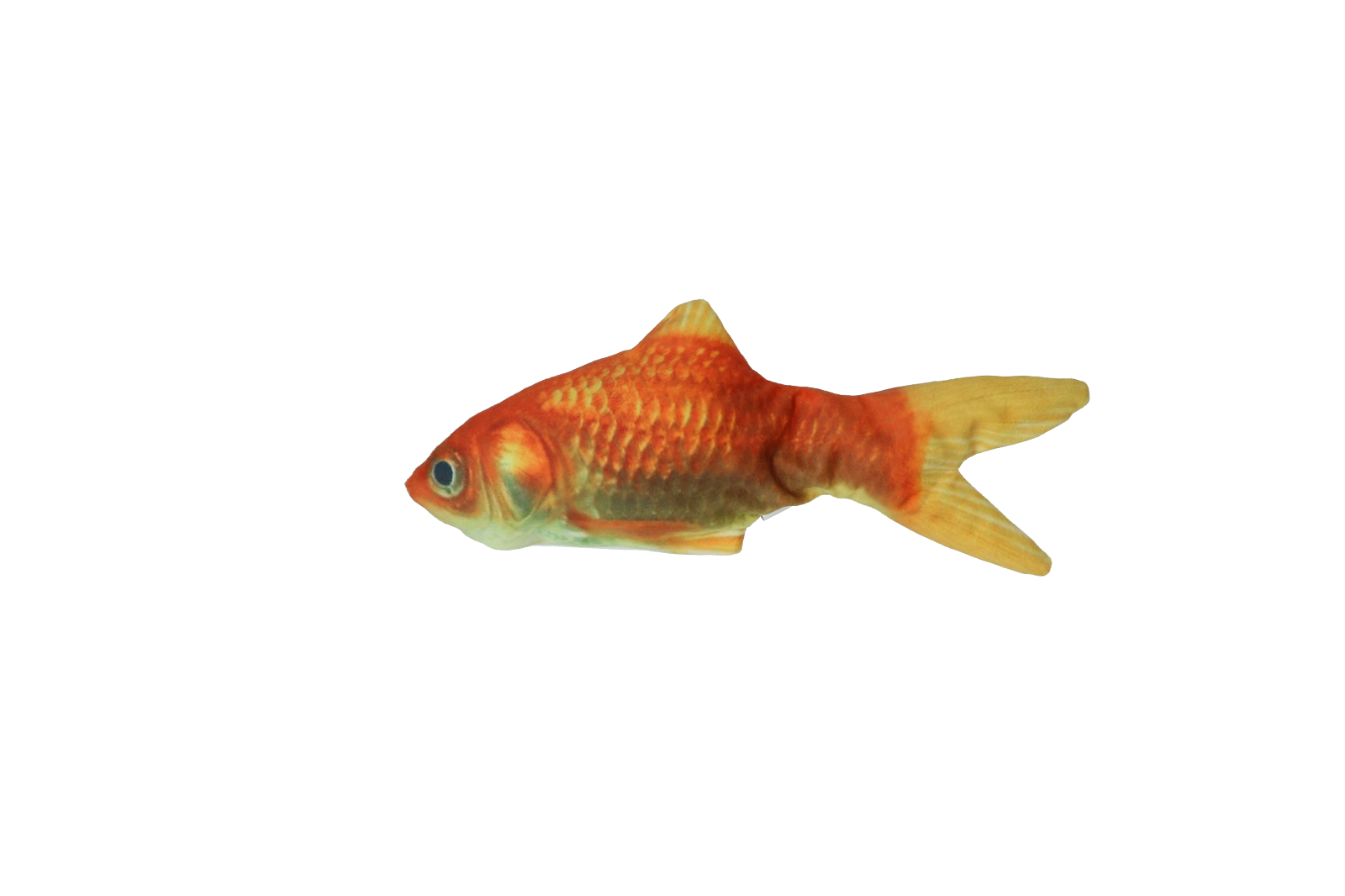 Robocat Fish Goldfish