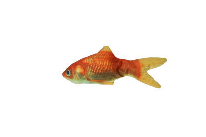 Robocat Fish Goldfish