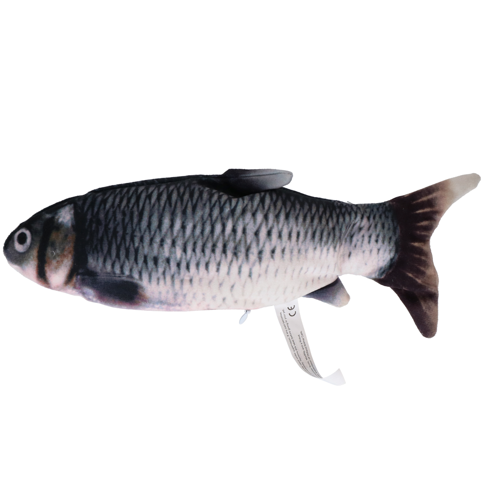 Robocat Fish Carp