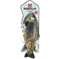 Robocat Fish Trout