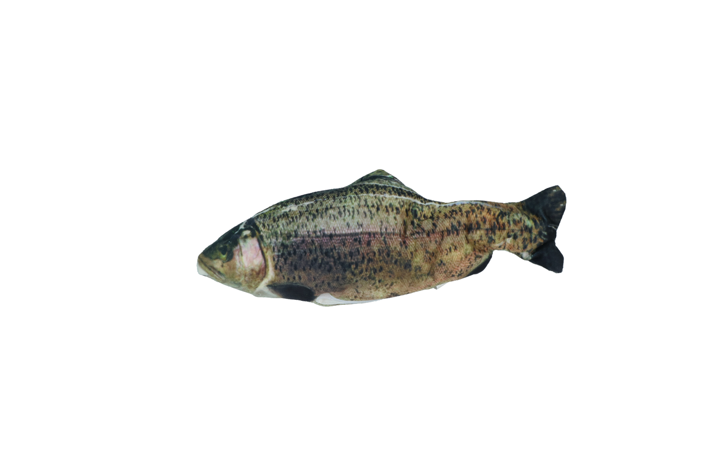 Robocat Fish Trout
