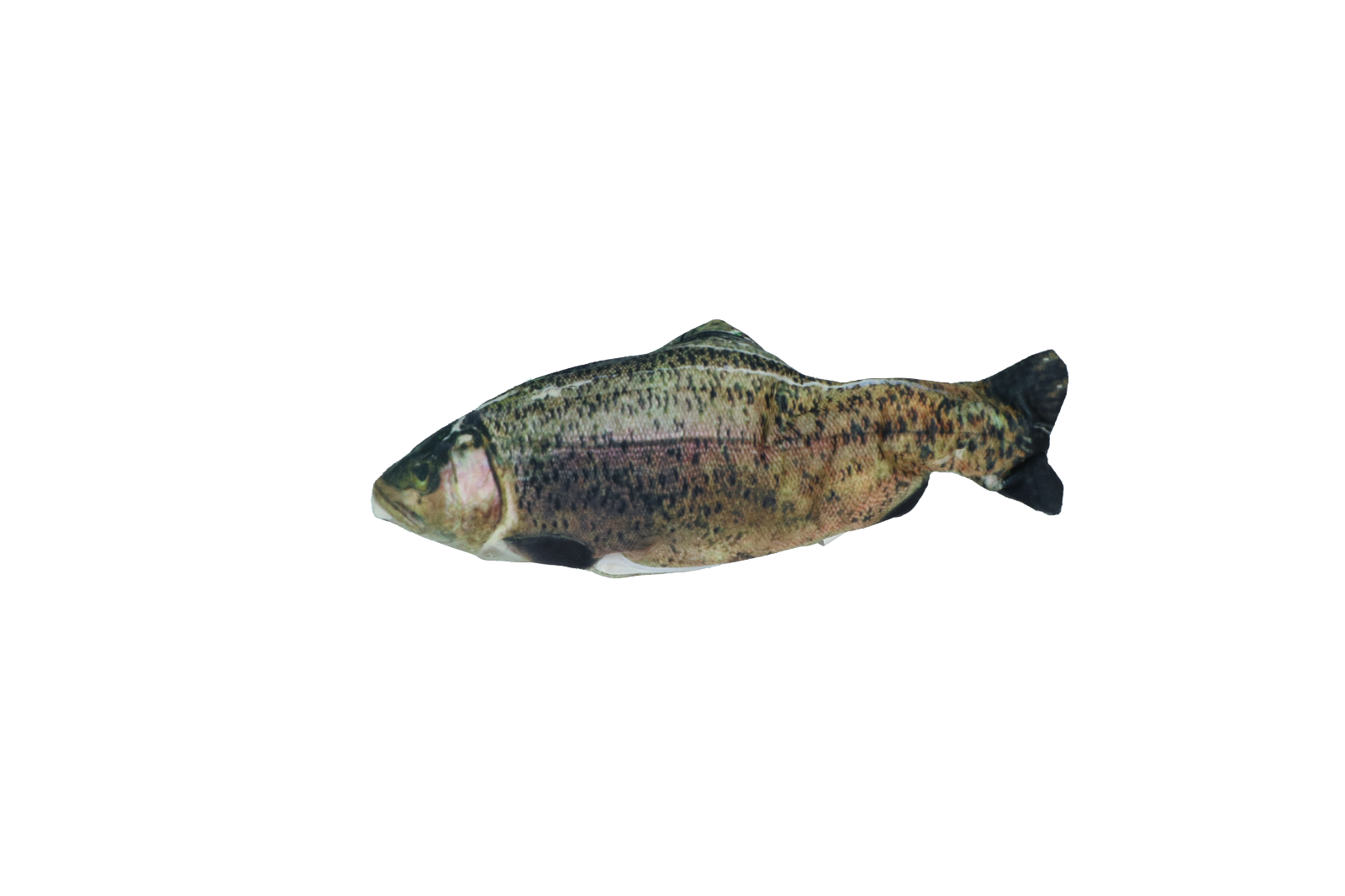 Robocat Fish Trout