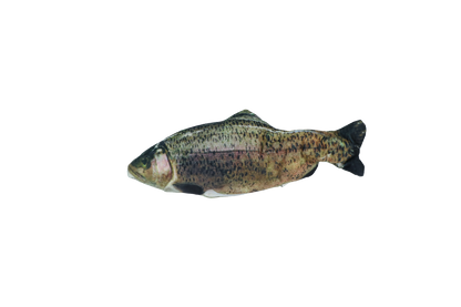Robocat Fish Trout