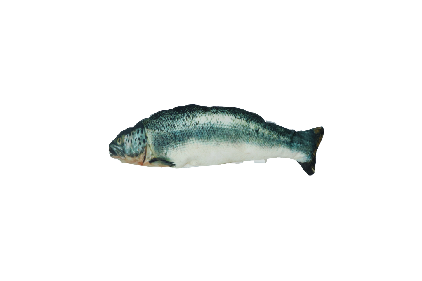 Robocat Fish Salmon