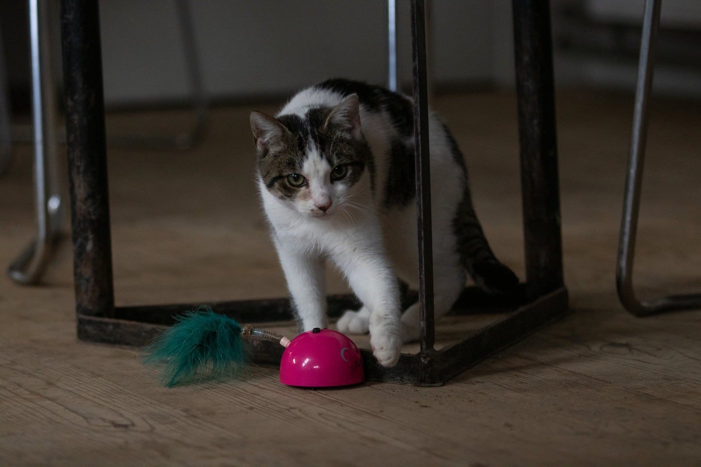 Robocat Mouse Pink