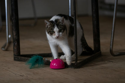 Robocat Mouse Pink