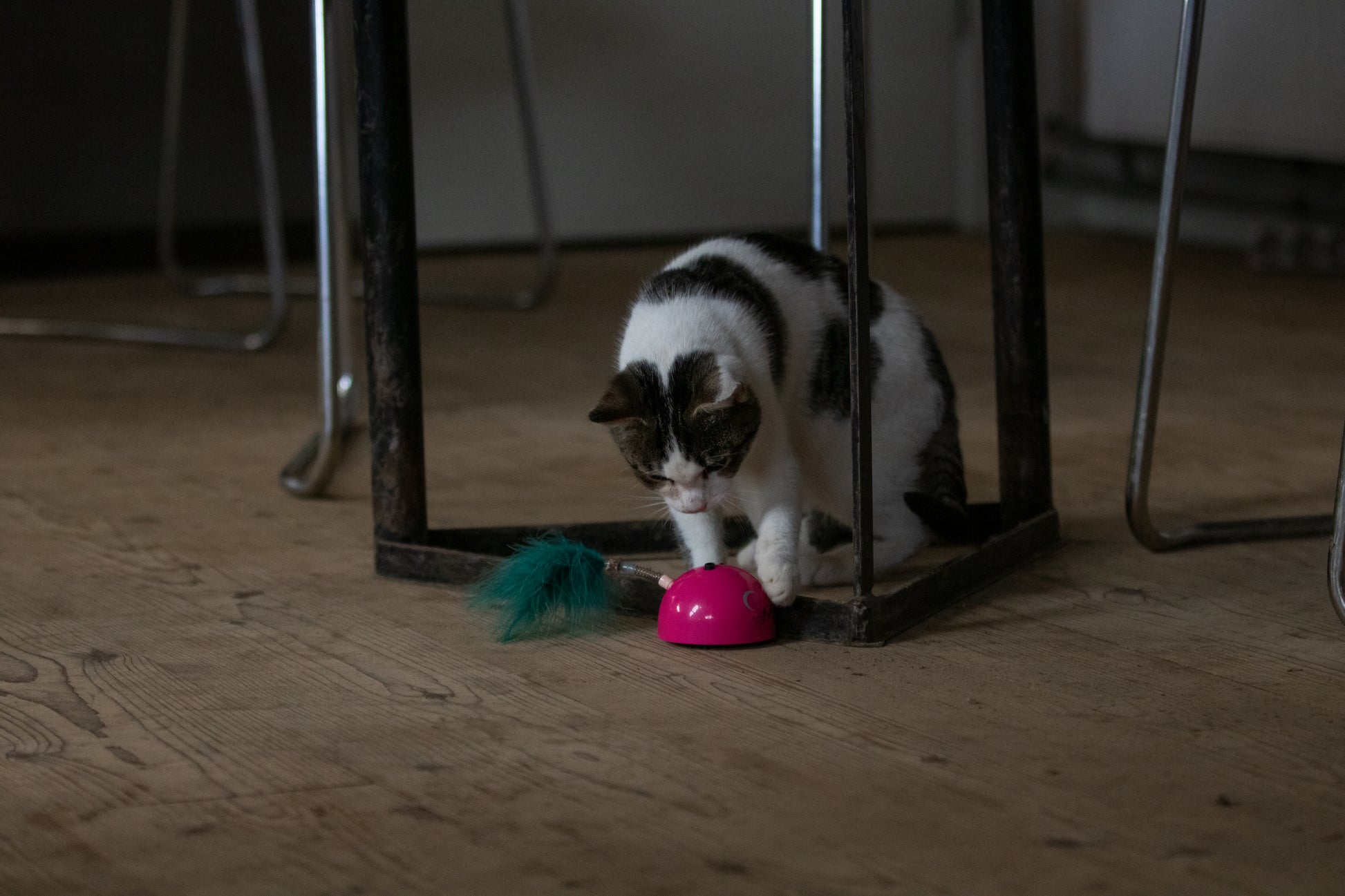 Robocat Mouse Pink