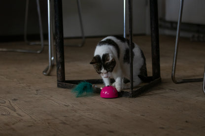 Robocat Mouse Pink