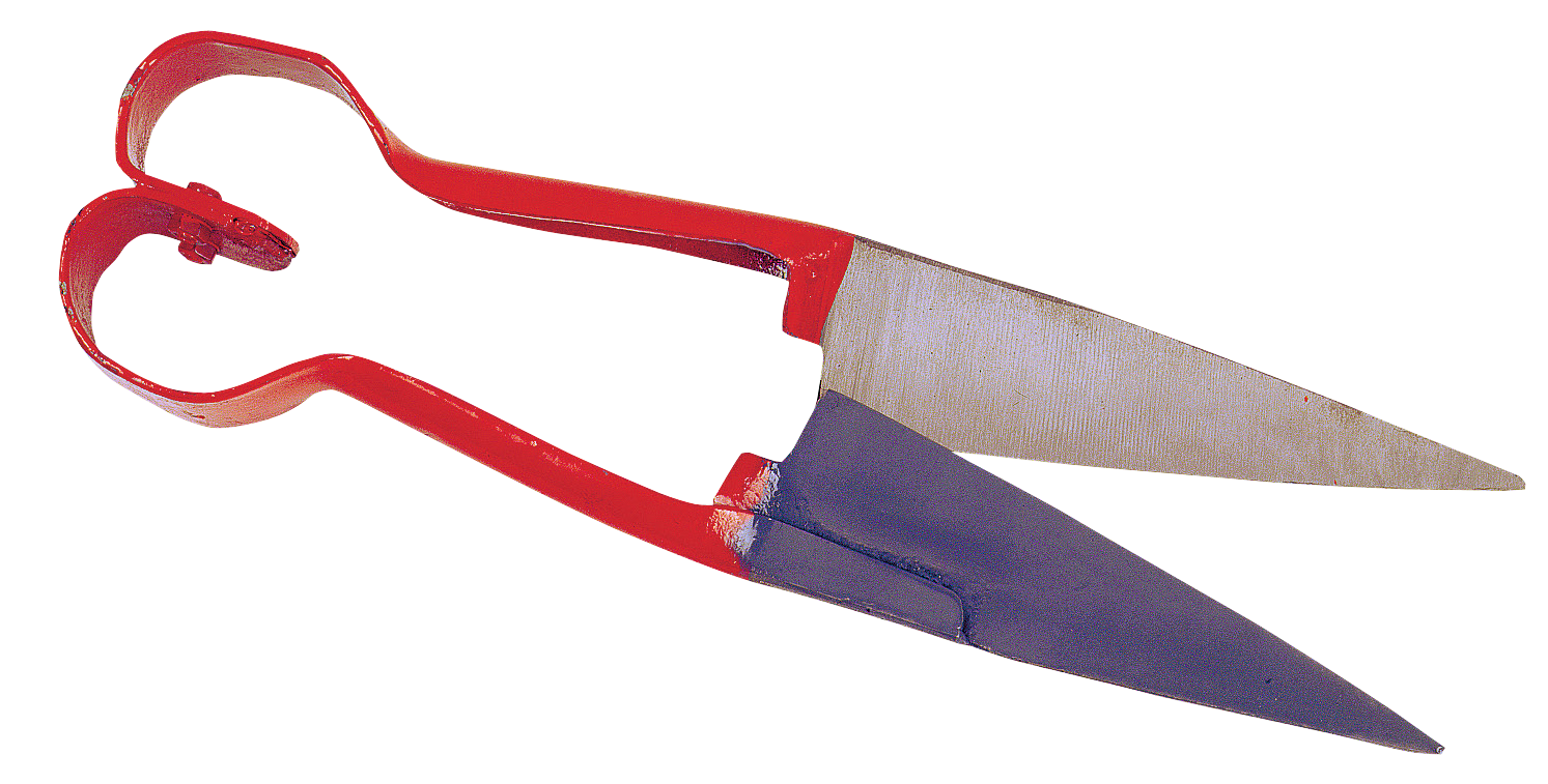 Sheep wool shear heart model