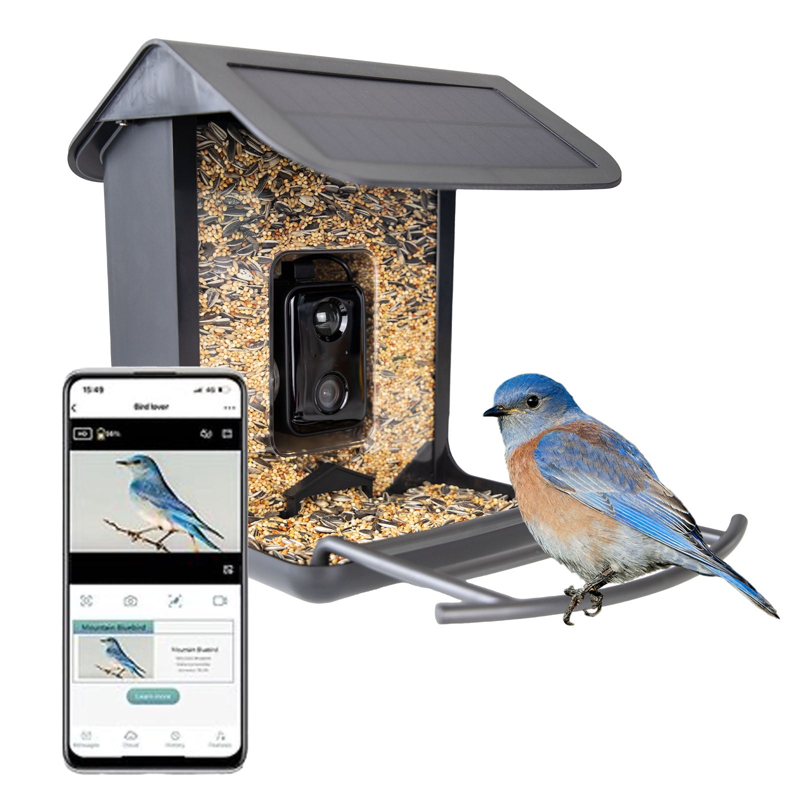 AI Bird Feeder with Camera