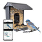 AI Bird Feeder with Camera