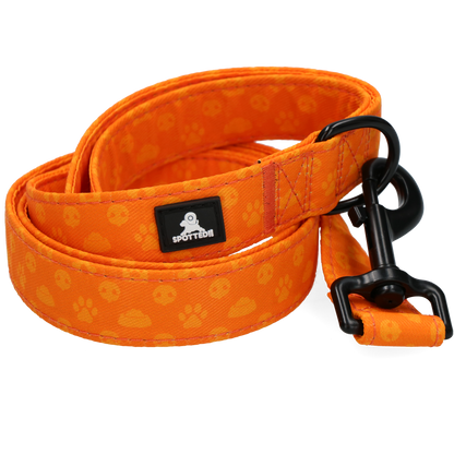 Spotted! Pro Perfect Leash 120 cm Orange
