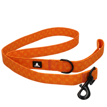 Spotted! Pro Perfect Leash 120 cm Orange