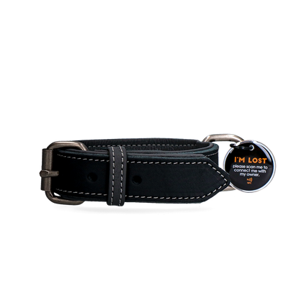Spotted! Pro Leather Collar Black 2.5 x 40 cm