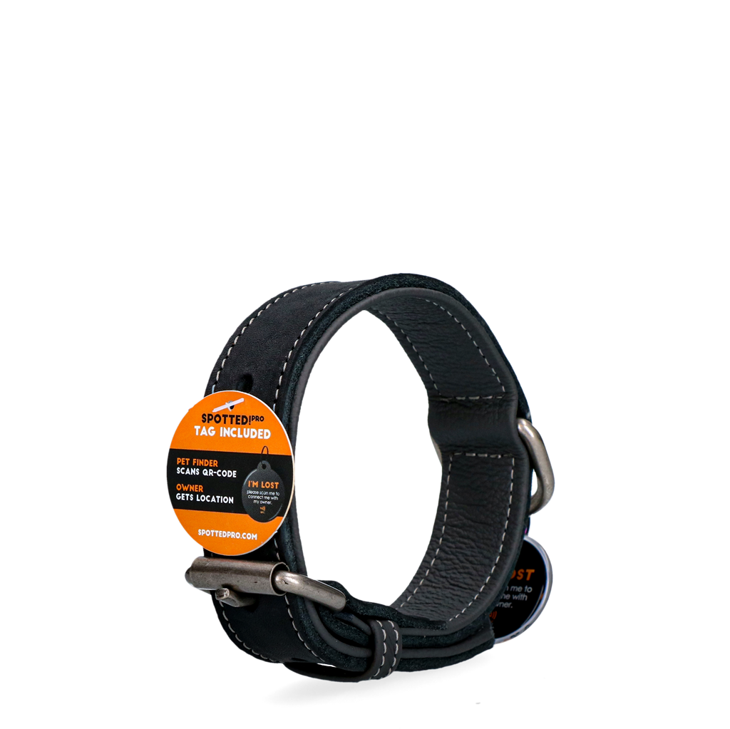 Spotted! Pro Leather Collar Black 2.5 x 40 cm