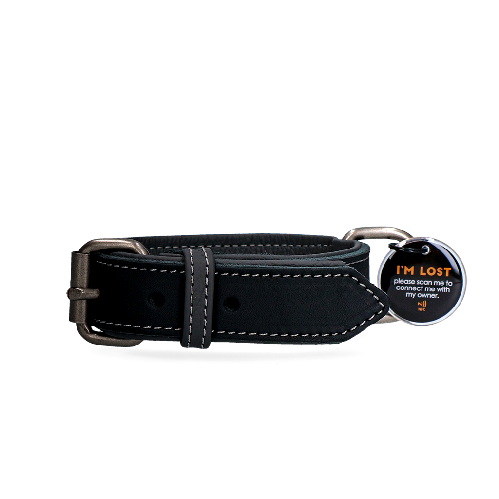 Spotted! Pro Leather Collar Black 3 x 55 cm