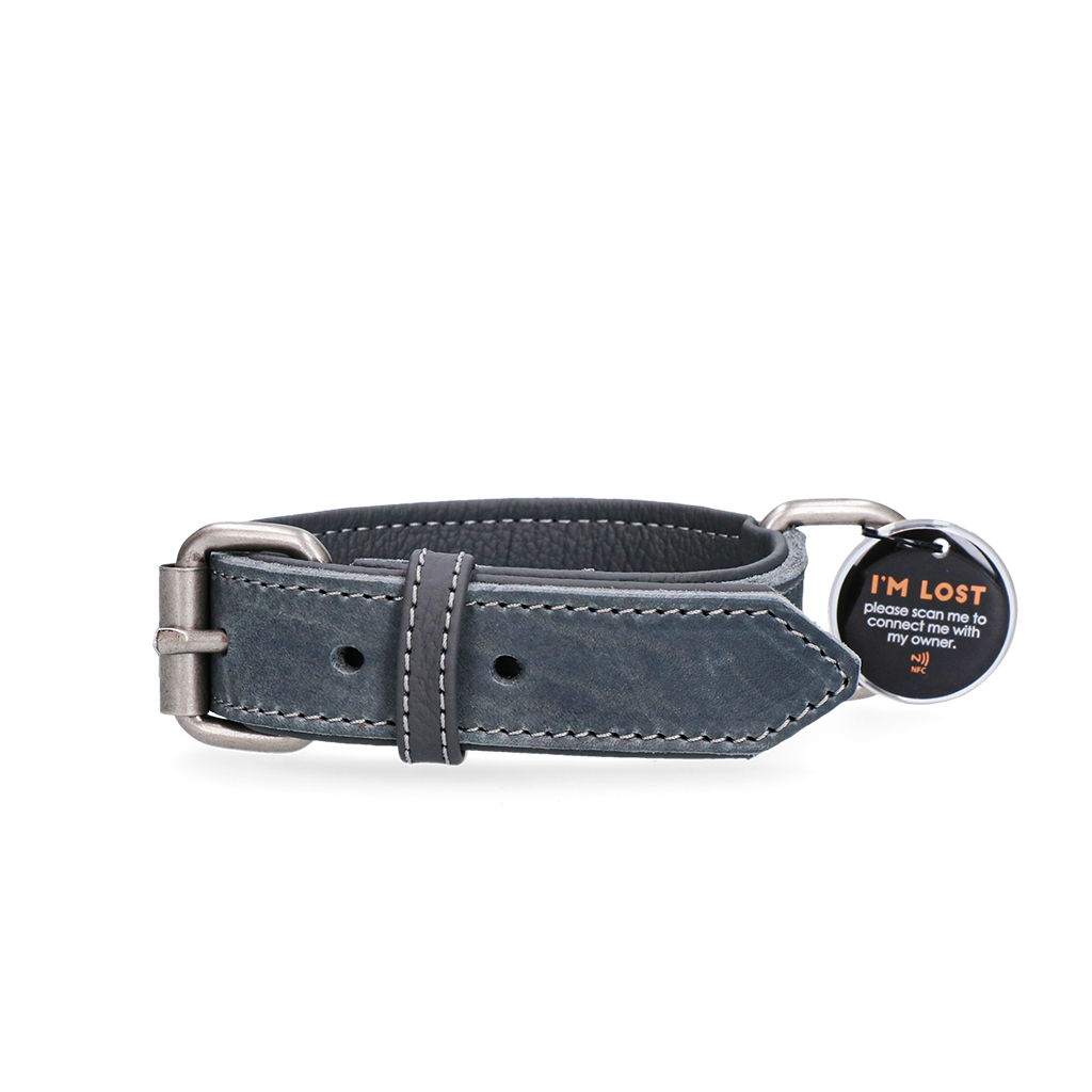 Spotted! Pro Leather Collar Grey 2.5 x 50 cm