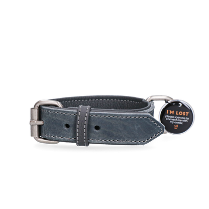 Spotted! Pro Leather Collar Grey 2.5 x 50 cm