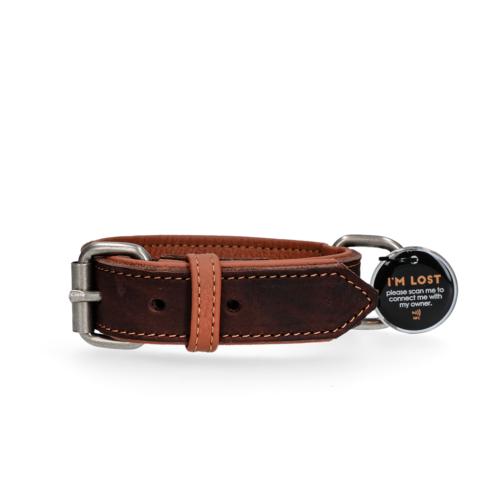 Spotted! Pro Leather Collar Brown 2.5 x 40 cm