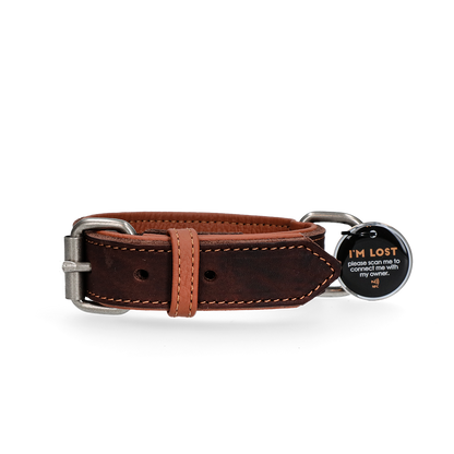 Spotted! Pro Leather Collar Brown 2.5 x 40 cm