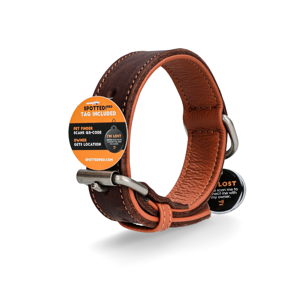 Spotted! Pro Leather Collar Brown 2.5 x 40 cm