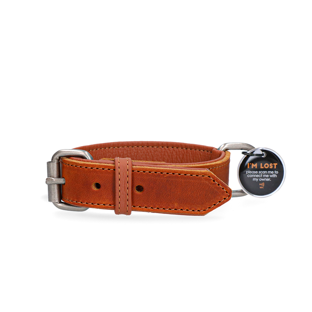 Spotted! Pro Leather Collar Cognac 3 x 55 cm