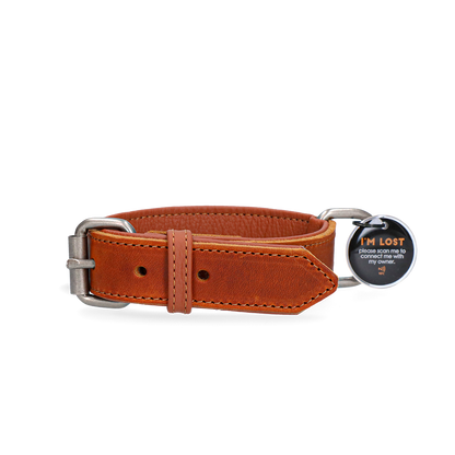 Spotted! Pro Leather Collar Cognac 3 x 55 cm