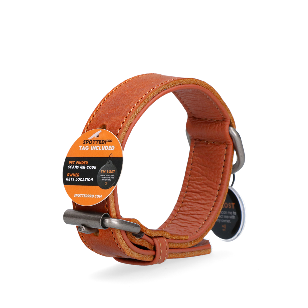 Spotted! Pro Leather Collar Cognac 3 x 55 cm