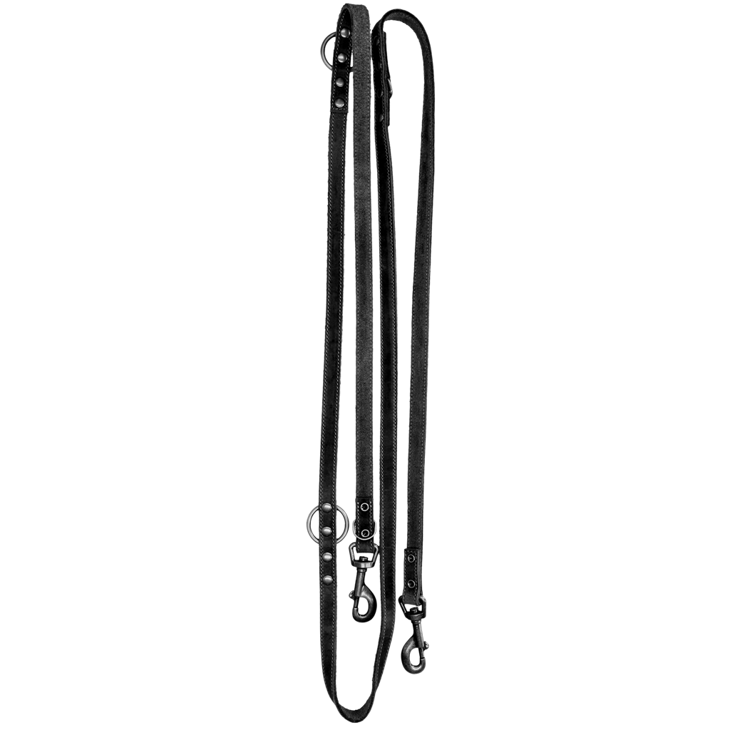 Spotted! Pro Leather Training Leash Black 2 x 250 cm