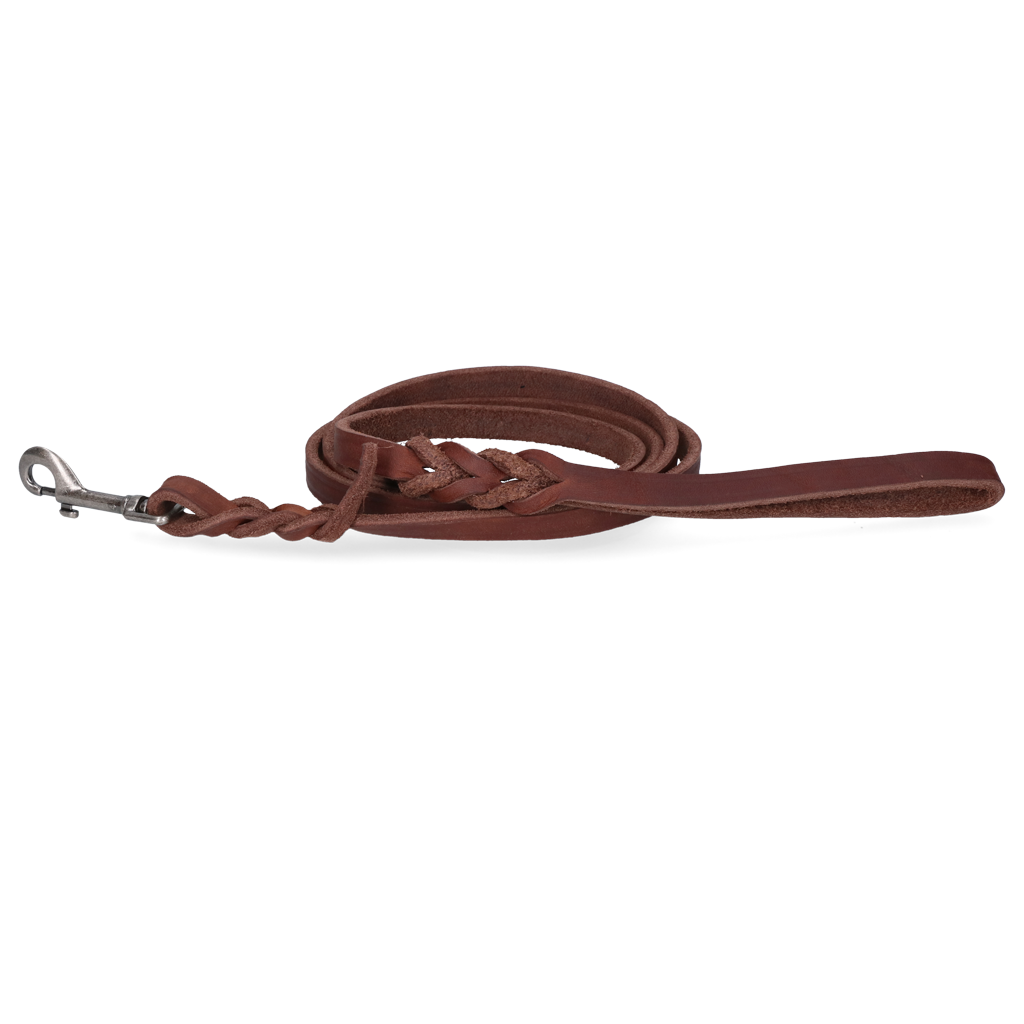 Spotted! Pro Leather Show Leash Brown 1.2 x 180cm (Bolt Snap)