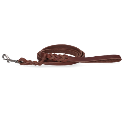 Spotted! Pro Leather Show Leash Brown 1.2 x 180cm (Bolt Snap)
