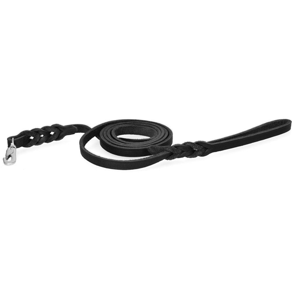 Spotted! Pro Leather Show Leash Black 1.6 x 180 cm (Clip Hook)