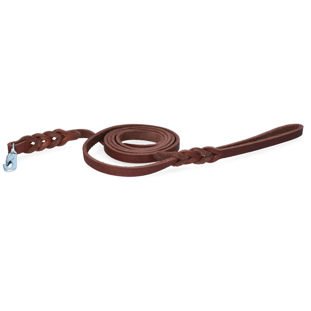Spotted! Pro Leather Show Leash Brown 1.8 x 180 cm (Clip Hook)