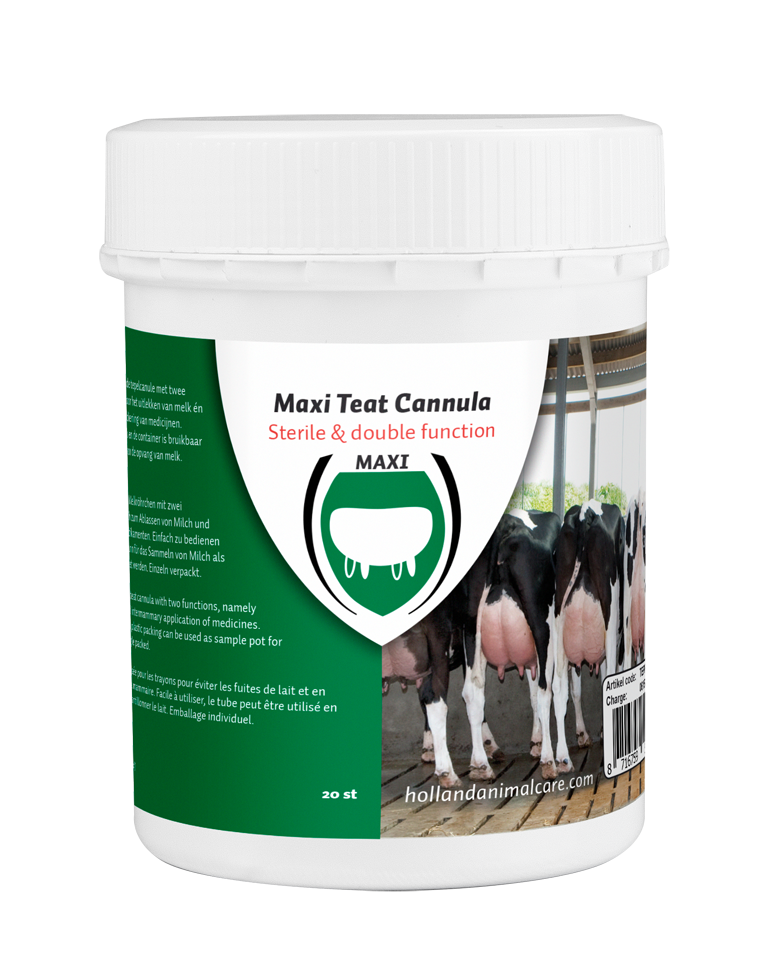 Excellent Maxi Teat Cannula 55 mm 20 pcs