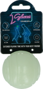 2 Glow Fetch & Play
