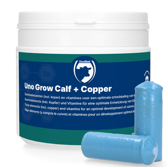 Kiváló Uno Növendék Borjú + Réz 20 x 40,5 g